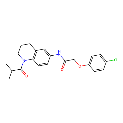 2-(4-chlorophenoxy)-N-(1-isobutyryl-1,2,3,4-tetrahydroquinolin-6-yl)acetamide structure