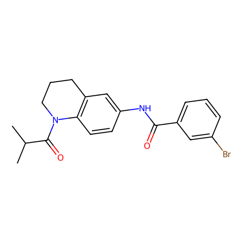 3-bromo-N-(1-isobutyryl-1,2,3,4-tetrahydroquinolin-6-yl)benzamide structure