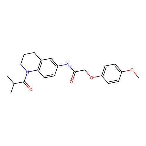 N-(1-isobutyryl-1,2,3,4-tetrahydroquinolin-6-yl)-2-(4-methoxyphenoxy)acetamide structure
