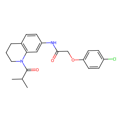 2-(4-chlorophenoxy)-N-(1-isobutyryl-1,2,3,4-tetrahydroquinolin-7-yl)acetamide structure