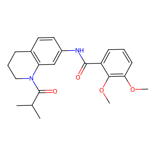N-(1-isobutyryl-1,2,3,4-tetrahydroquinolin-7-yl)-2,3-dimethoxybenzamide structure