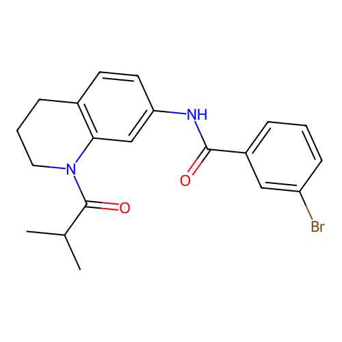 3-bromo-N-(1-isobutyryl-1,2,3,4-tetrahydroquinolin-7-yl)benzamide structure