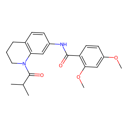 N-(1-isobutyryl-1,2,3,4-tetrahydroquinolin-7-yl)-2,4-dimethoxybenzamide structure