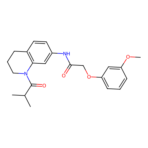 N-(1-isobutyryl-1,2,3,4-tetrahydroquinolin-7-yl)-2-(3-methoxyphenoxy)acetamide structure