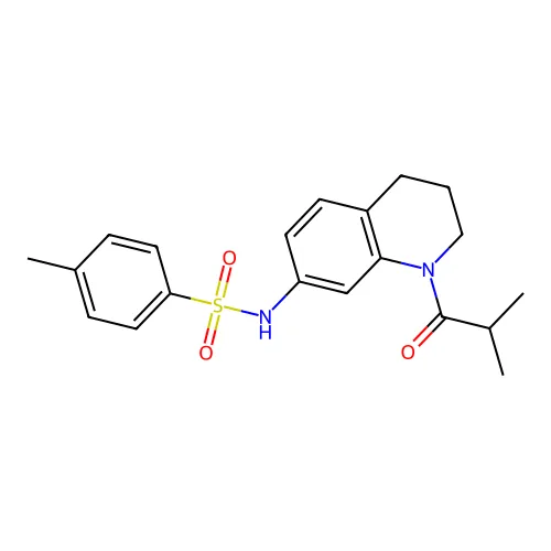 N-(1-异丁酰-1,2,3,4-四氢喹啉-7-基)-4-甲基苯磺酰胺 structure