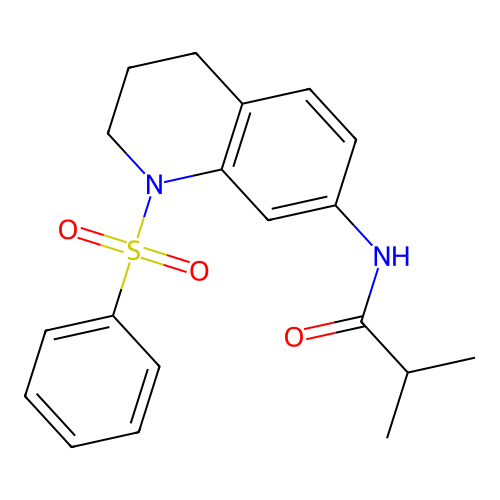 N-(1-(phenylsulfonyl)-1,2,3,4-tetrahydroquinolin-7-yl)isobutyramide structure