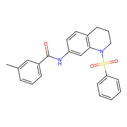 N-[1-(benzenesulfonyl)-3,4-dihydro-2H-quinolin-7-yl]-3-methylbenzamide structure