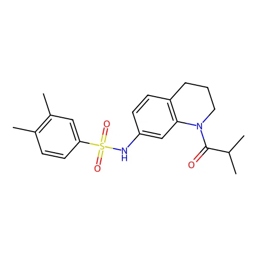 N-(1-异丁酰-1,2,3,4-四氢喹啉-7-基)-3,4-二甲基苯磺酰胺 structure