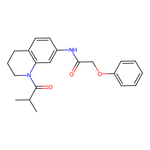 N-(1-isobutyryl-1,2,3,4-tetrahydroquinolin-7-yl)-2-phenoxyacetamide structure
