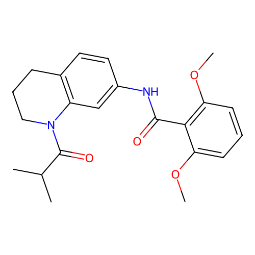 N-(1-isobutyryl-1,2,3,4-tetrahydroquinolin-7-yl)-2,6-dimethoxybenzamide structure