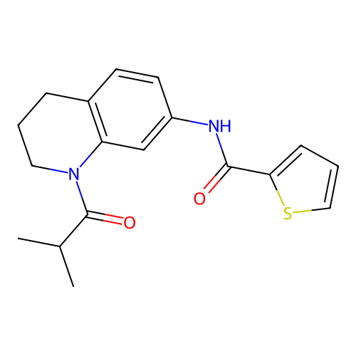 N-(1-isobutyryl-1,2,3,4-tetrahydroquinolin-7-yl)thiophene-2-carboxamide structure