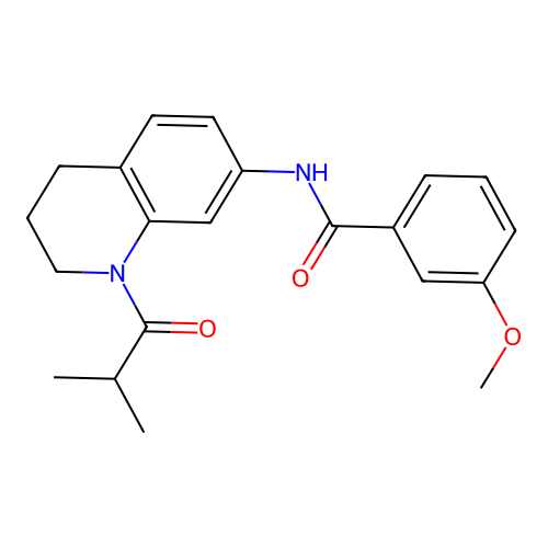 N-(1-isobutyryl-1,2,3,4-tetrahydroquinolin-7-yl)-3-methoxybenzamide structure