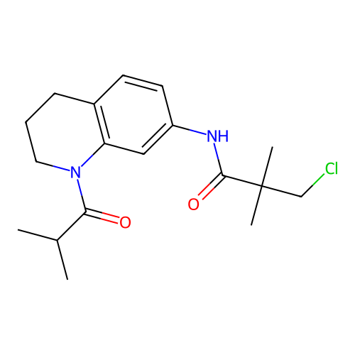 3-chloro-2,2-dimethyl-N-[1-(2-methylpropanoyl)-1,2,3,4-tetrahydroquinolin-7-yl]propanamide structure