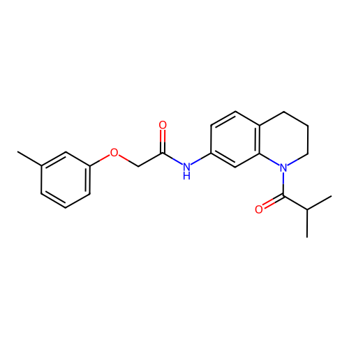 2-(3-methylphenoxy)-N-[1-(2-methylpropanoyl)-1,2,3,4-tetrahydroquinolin-7-yl]acetamide structure