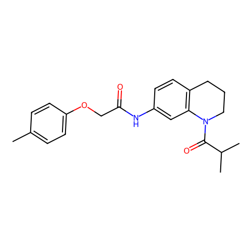 2-(4-methylphenoxy)-N-[1-(2-methylpropanoyl)-1,2,3,4-tetrahydroquinolin-7-yl]acetamide structure