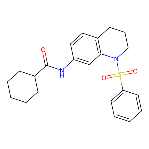 N-[1-(benzenesulfonyl)-3,4-dihydro-2H-quinolin-7-yl]cyclohexanecarboxamide structure