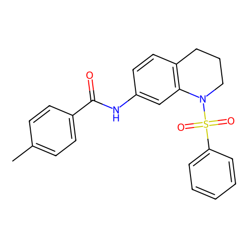 N-[1-(benzenesulfonyl)-3,4-dihydro-2H-quinolin-7-yl]-4-methylbenzamide structure