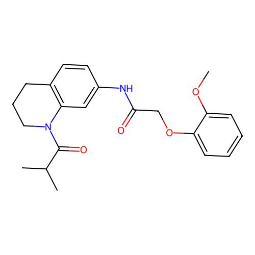 N-(1-isobutyryl-1,2,3,4-tetrahydroquinolin-7-yl)-2-(2-methoxyphenoxy)acetamide structure