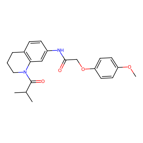 N-(1-isobutyryl-1,2,3,4-tetrahydroquinolin-7-yl)-2-(4-methoxyphenoxy)acetamide structure
