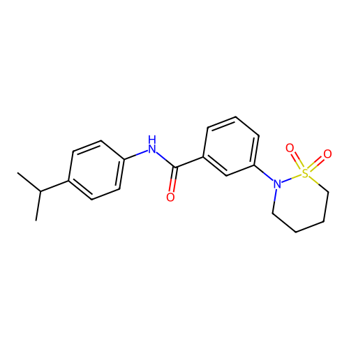 3-(1,1-dioxido-1,2-thiazinan-2-yl)-N-[4-(propan-2-yl)phenyl]benzamide structure