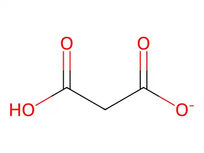 Propanedioic acid, ion(1-) structure