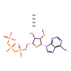 2'-O-Methyl-ATP structure