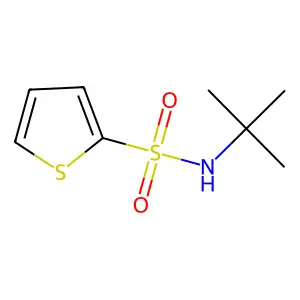 N-(Tert-butyl)-2-thiophenesulfonamide structure
