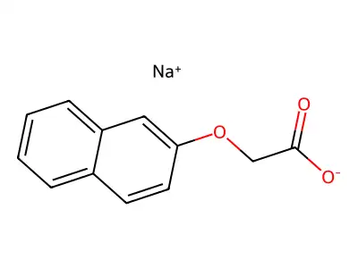 Bicyclo(3.3.1)nonan-3-one structure