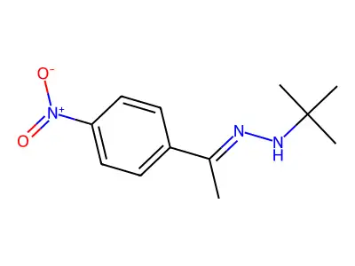 (2Z)-1-tert-Butyl-2-[1-(4-nitrophenyl)ethylidene]hydrazine structure