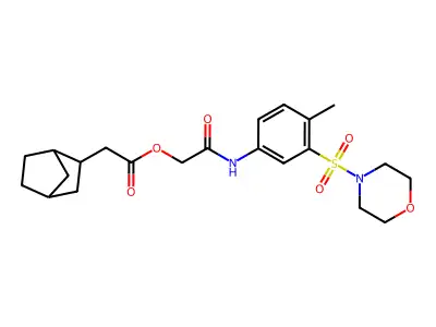 [2-(4-methyl-3-morpholin-4-ylsulfonylanilino)-2-oxoethyl] 2-(2-bicyclo[2.2.1]heptanyl)acetate structure