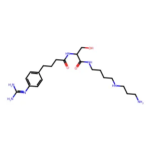 N 30 structure