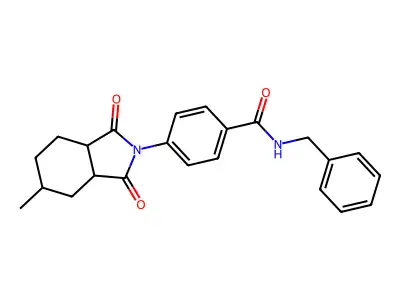 N-benzyl-4-(5-methyl-1,3-dioxooctahydro-2H-isoindol-2-yl)benzamide structure