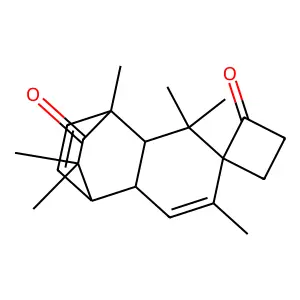 Spiro[(tricyclo[6.2.2.0(2,7)]dodeca-5,9-diene)-4,1'-cyclobutane]-11,2'-dione, 1,3,3,5,12,12-hexamethyl- structure