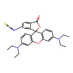 Protein hydrolyzates, yeast structure