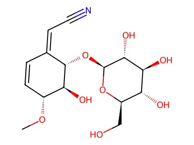 Bauhinin structure