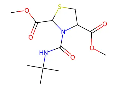 Dimethyl 3-[(tert-butylamino)carbonyl]-1,3-thiazolane-2,4-dicarboxylate structure