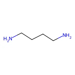 Putrescine, C-11 structure