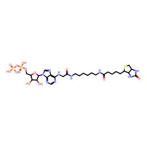 Biotinyl-adenoside diphosphate structure
