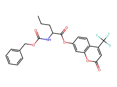 EiM07-16217 structure