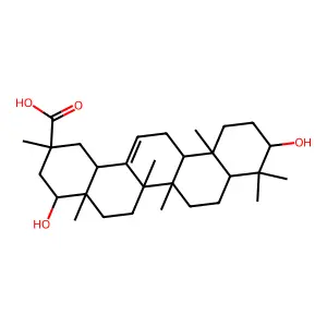 Triptotriterpenic acid A structure