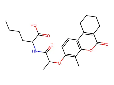 EiM07-17253 structure