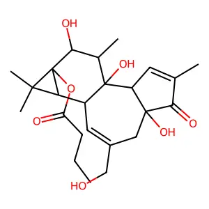 Phorbol 13-butanoate structure