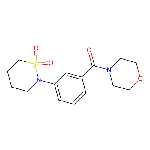 [3-(1,1-二氧代噻嗪-2-基)苯基]-吗啉-4-基甲酮 structure