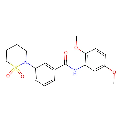 N-(2,5-二甲氧基苯基)-3-(1,1-二氧代-1,2-噻嗪正-2-基)苯甲酰胺 structure