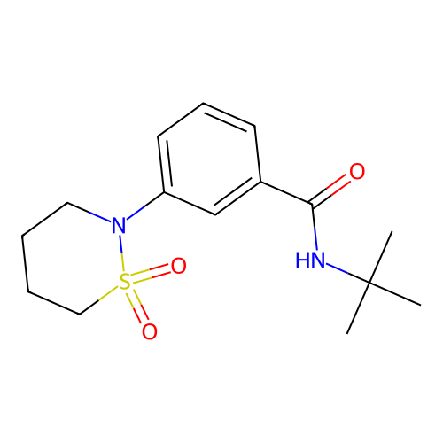 N-tert-butyl-3-(1,1-dioxido-1,2-thiazinan-2-yl)benzamide structure