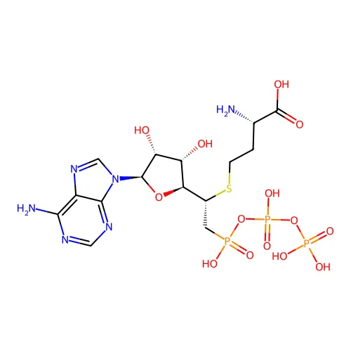 (2S)-2-氨基-4-[(1S)-1-[(2S,3S,4R,5R)-5-(6-氨基嘌呤-9-基)-3,4-二羟基氧代环戊烷-2-基]-2-[羟基-[羟基(磷氧代)磷酰基]氧代磷酰基]乙基]巯基丁酸 structure