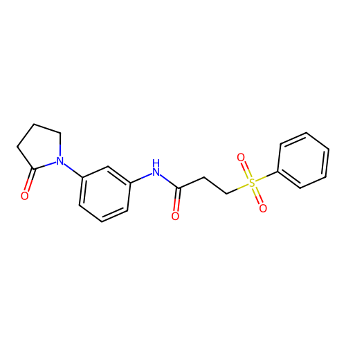 3-(benzenesulfonyl)-N-[3-(2-oxopyrrolidin-1-yl)phenyl]propanamide structure