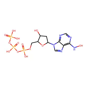 6-N-hydroxylaminopurine deoxynucleoside triphosphate structure