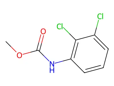 Methyl N-(2,3-dichlorophenyl)carbamate structure
