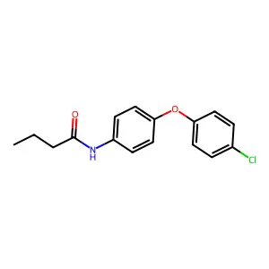 N-[4-(4-chlorophenoxy)phenyl]butanamide structure